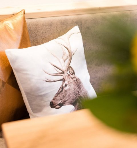 Gem&uuml;tliche R&auml;umlichkeiten in unserer Ferienwohnung in Flachau