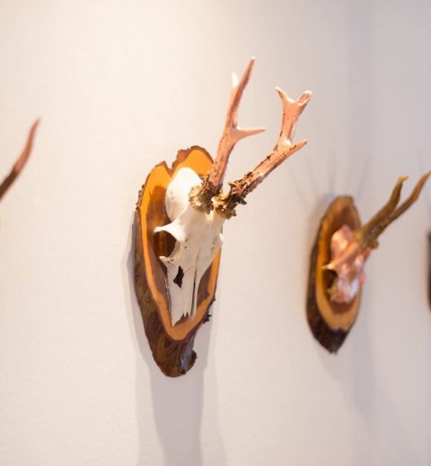 Wohnen im Lodge Stil